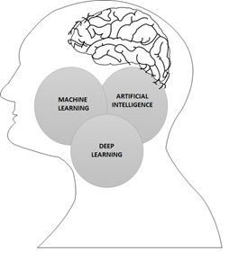 基于机器的深度学习与自动化在精神病学和早期神经发育障碍中的乐观策略