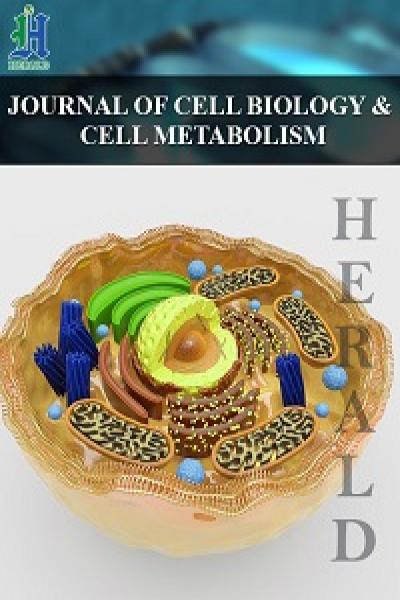 中国细胞生物学与细胞新陈代谢杂志