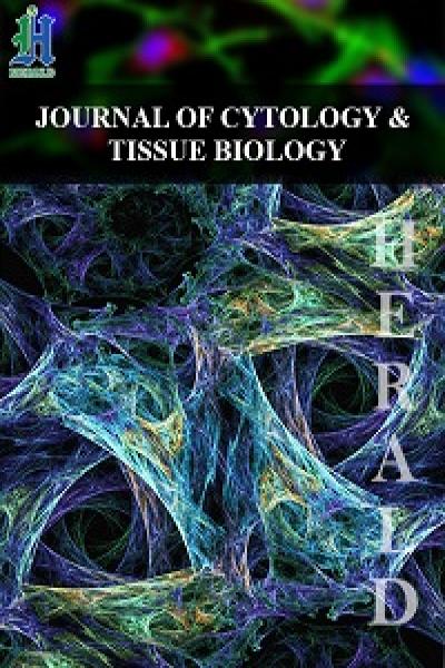 细胞学与组织生物学杂志CHINESS